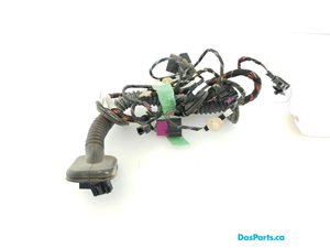 Door Harness RF 1