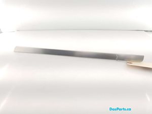 Dash Trim 3