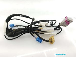 Door Harness LF 1