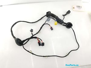 Door Harness LF 1