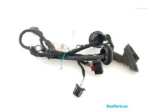 Door Harness RR 1