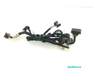 Door Harness RR 1