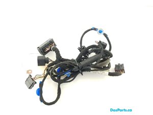 Door Harness RF 1