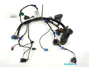 Door Harness LF 1
