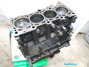 Engine Ass. Shortblock