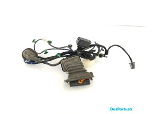 Door Harness RR 1