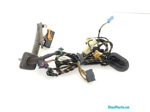Door Harness LF 1