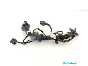 Door Harness RR 1