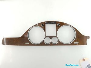 Dash Trim 1