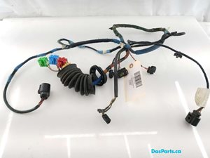 Door Harness LF 1