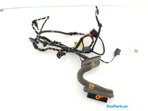 Door Harness RF 1