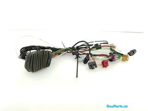 Door Harness LF 1