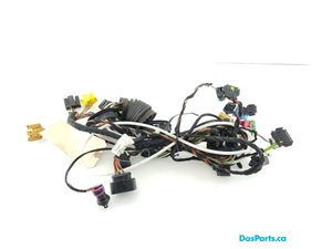 Door Harness RF 1