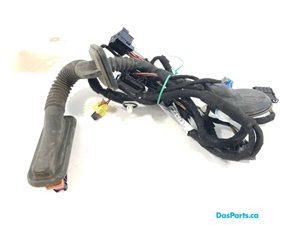 Door Harness RF 1