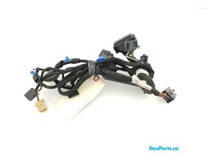 Door Harness RF 1