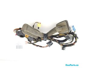 Door Harness RF 1
