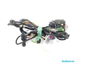 Door Harness RF 1