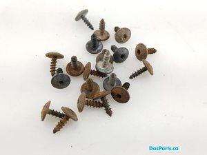 Fender Liner Screws