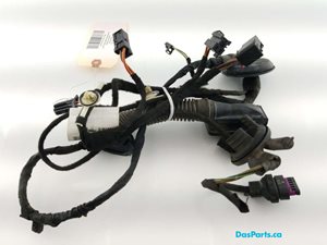 Door Harness LR 1
