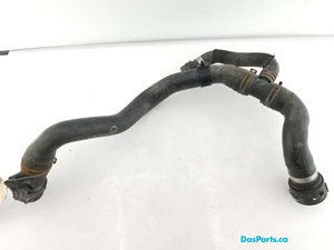 Lower Rad Hose