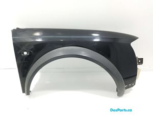 Fender RF