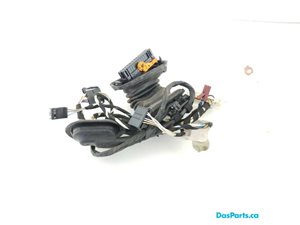 Door Harness RR 1