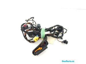 Door Harness RF 1
