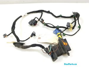 Door Harness LF 1