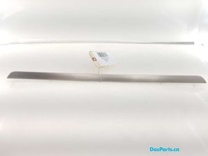 Door Trim RF