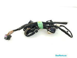 Door Harness RR 1