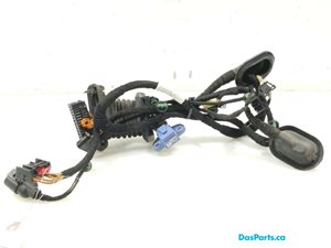Door Harness RF 1