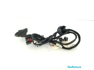 Door Harness LR 1