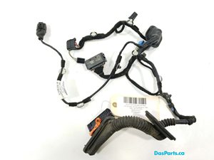 Door Harness RR 1