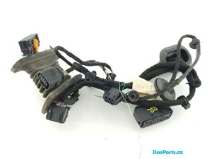 Door Harness RR 1