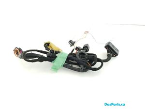 Door Harness LR 1