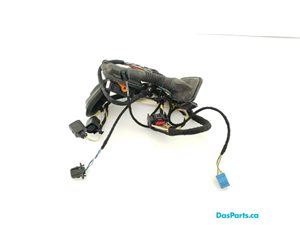 Door Harness RR 1