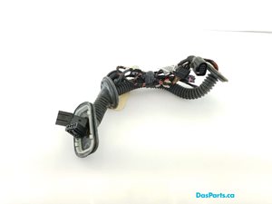 Door Harness LR 1