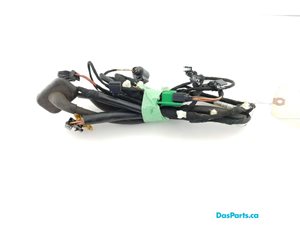 Trunk Harness