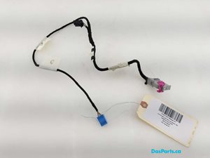 Door Harness RF 1