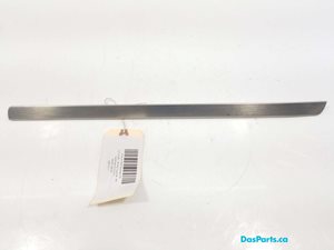 Dash Trim 1
