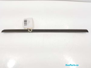 Door Trim RR