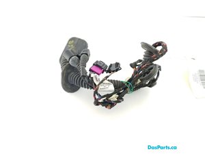 Door Harness LR 1