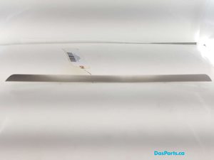 Door Trim RR