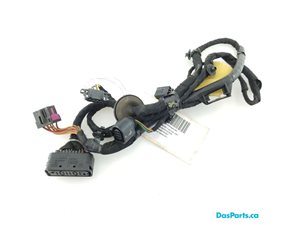 Door Harness RR 1