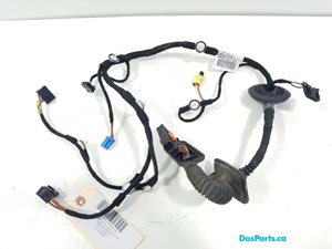 Door Harness RF 1