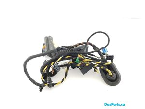 Door Harness LR 1
