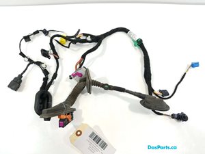 Door Harness RF 1