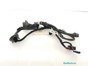 Door Harness RR 1