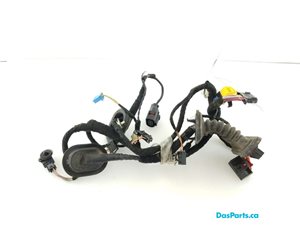 Door Harness RF 1