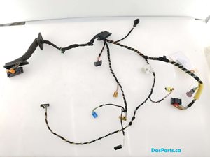 Door Harness LF 1